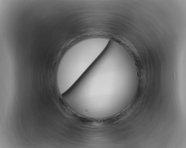 X0000115700496200911191232