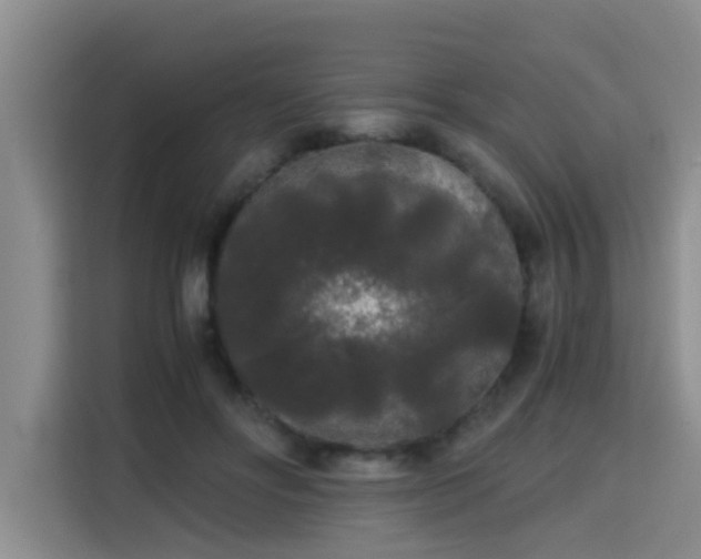 X0000115700502200911191232