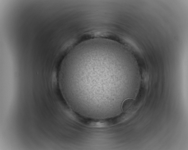 X0000115700506200911191232