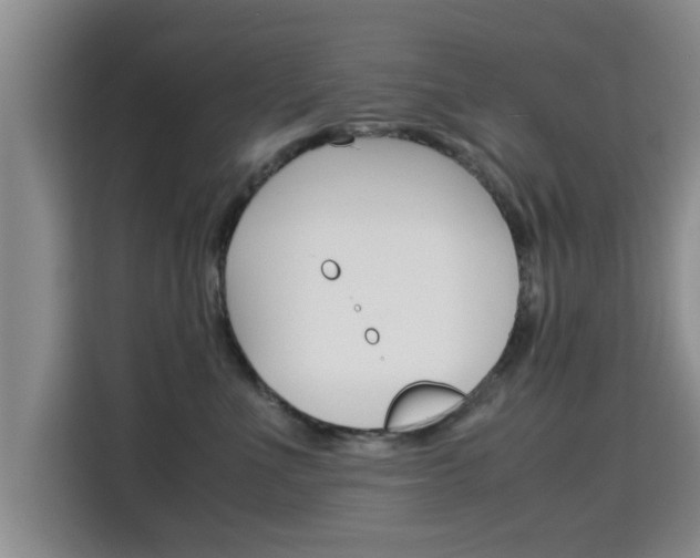 X0000115700523200911191232