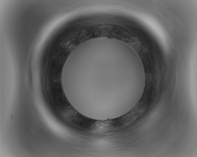 X0000115700526200911191232