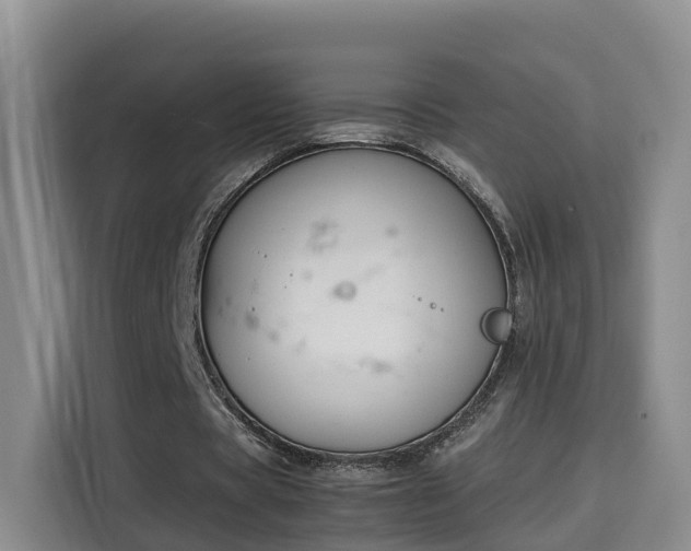 X0000115700529200911191231