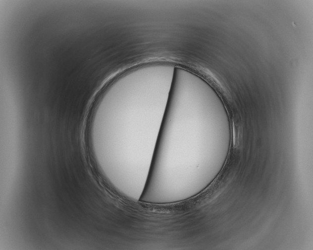 X0000115700531200911191231