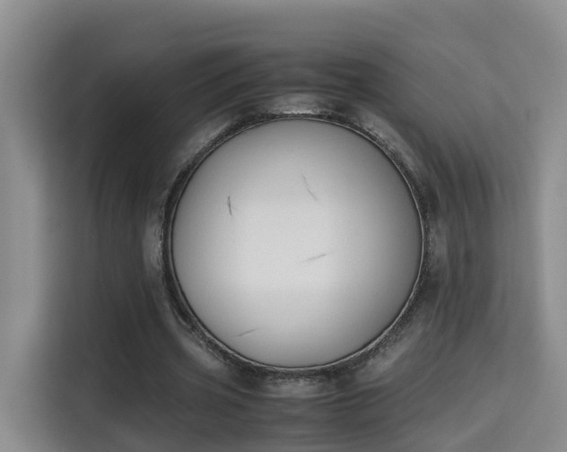 X0000115700533200911191231