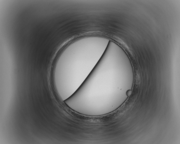 X0000115700535200911191231