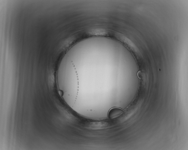 X0000115700541200911191231