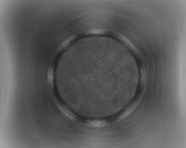 X0000115700542200911191231