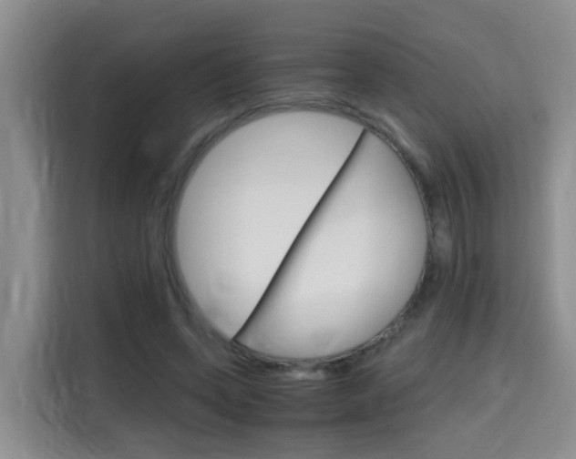 X0000115700543200911191231