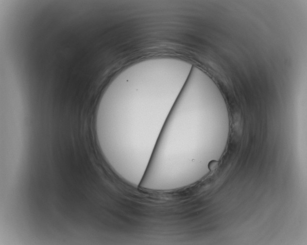 X0000115700547200911191231