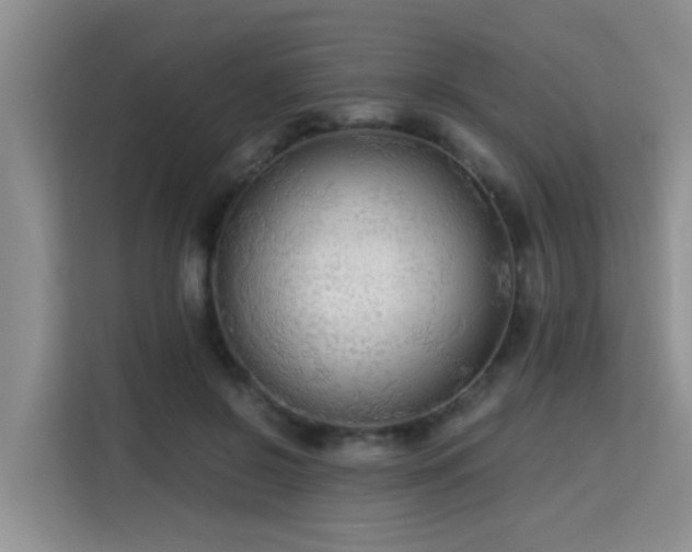 X0000115700550200911191231