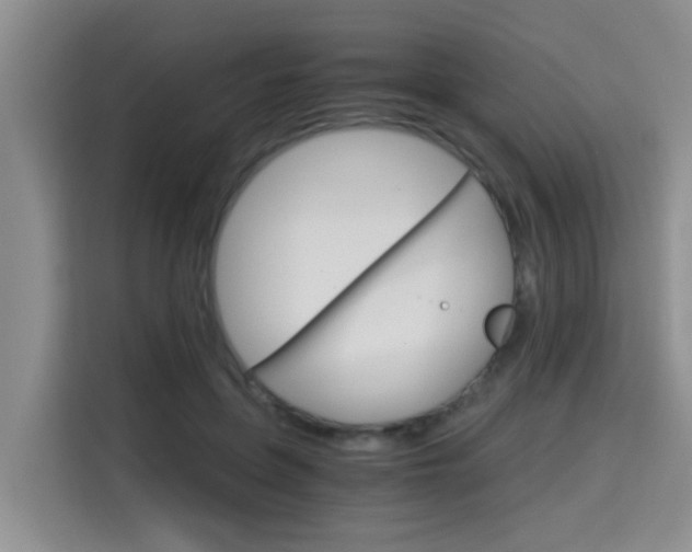 X0000115700551200911191231