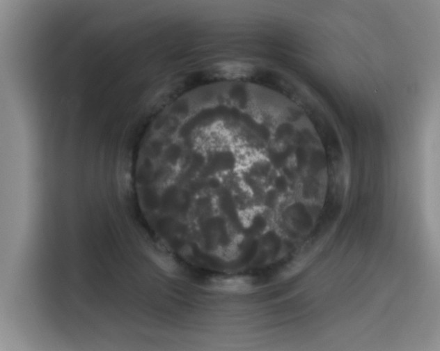 X0000115700553200911191231