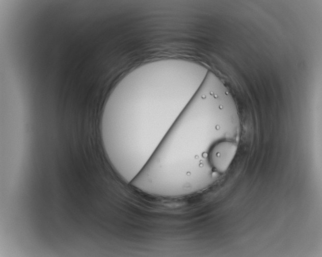 X0000115700555200911191231