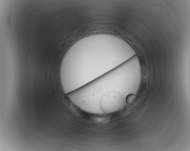 X0000115700563200911191232