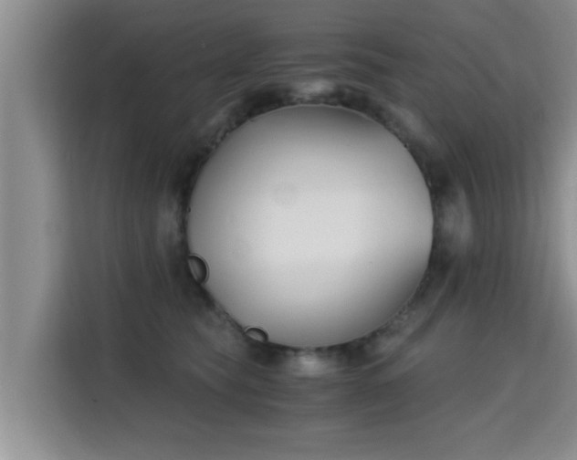 X0000115700565200911191232