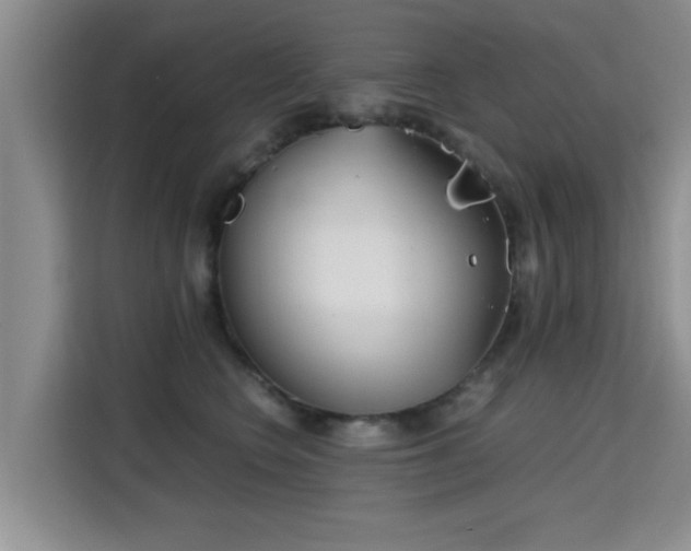 X0000115700566200911191232