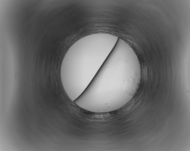 X0000115700571200911191232