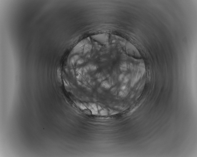 X0000115700575200911191232