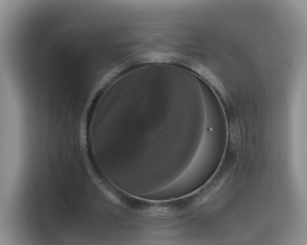 X0000115700581200911191231