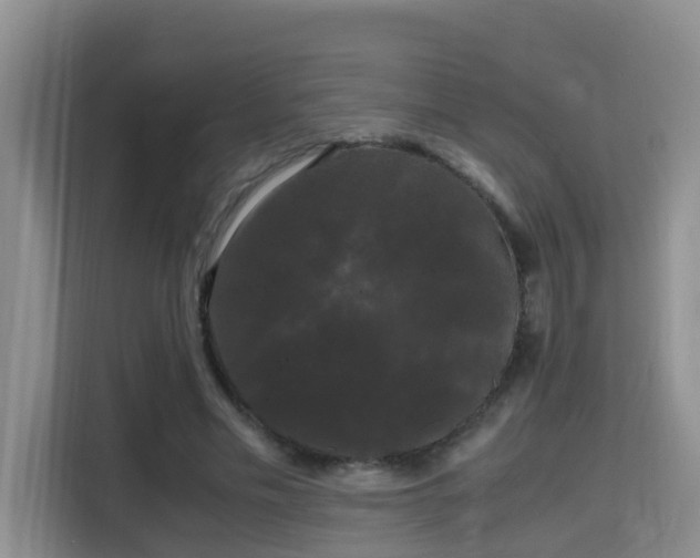 X0000115700589200911191231