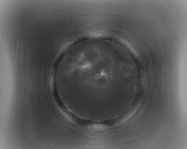 X0000115700590200911191231