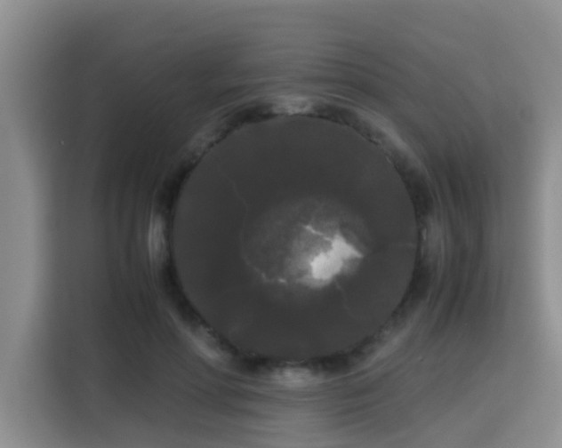 X0000115700598200911191231