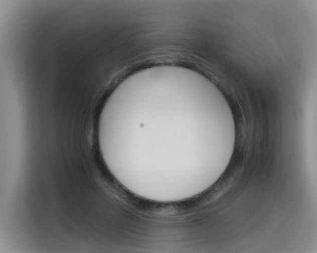 X0000115700600200911191231