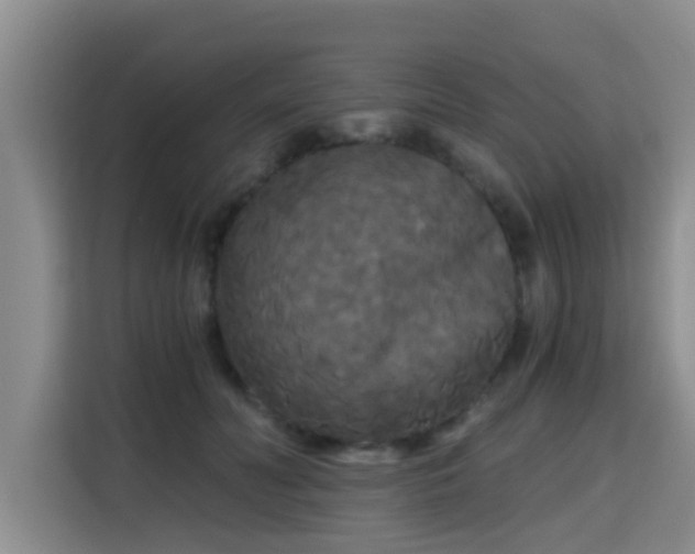 X0000115700606200911191231