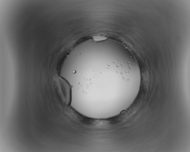 X0000115700617200911191231