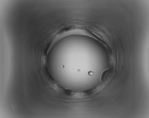 X0000115700621200911191231