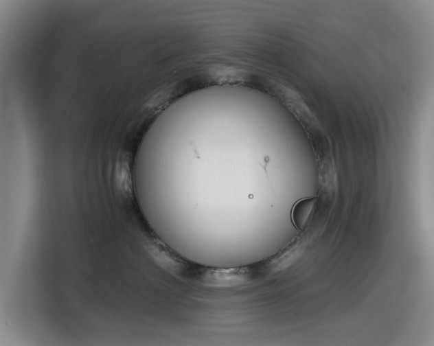 X0000115700622200911191231