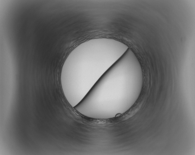 X0000115700624200911191230