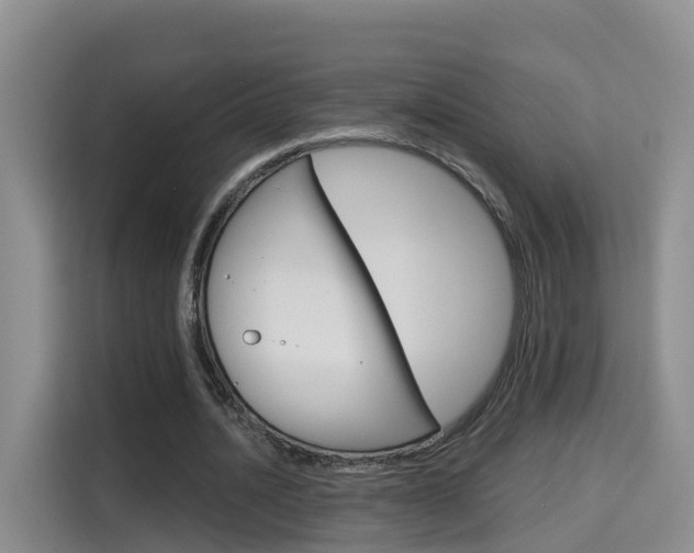 X0000115700628200911191230