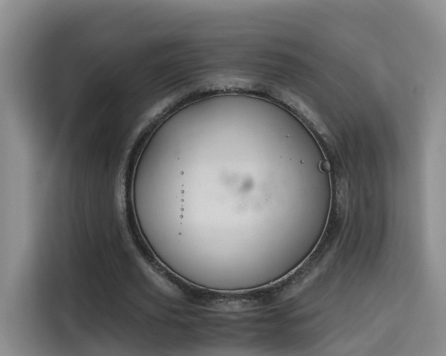 X0000115700629200911191230