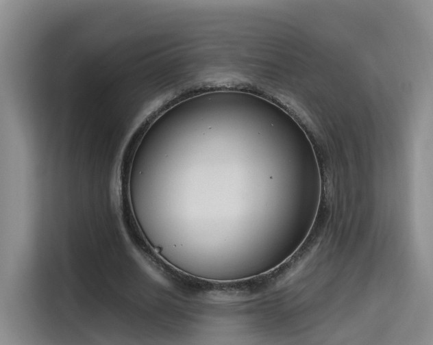 X0000115700630200911191230