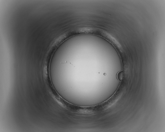 X0000115700633200911191230