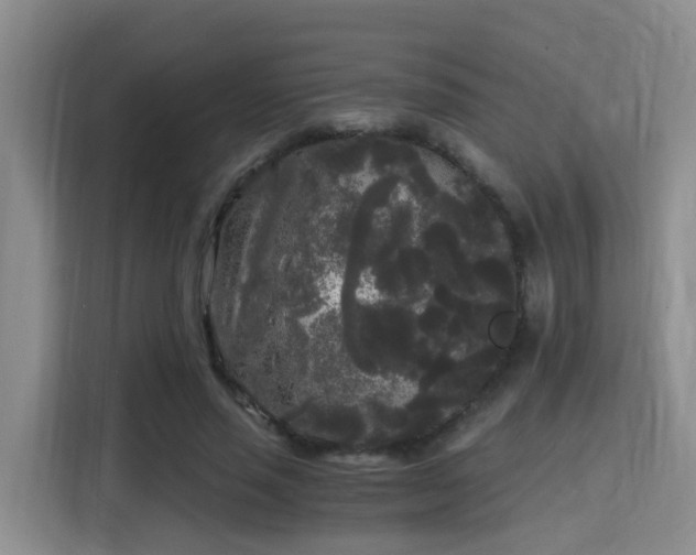 X0000115700637200911191230