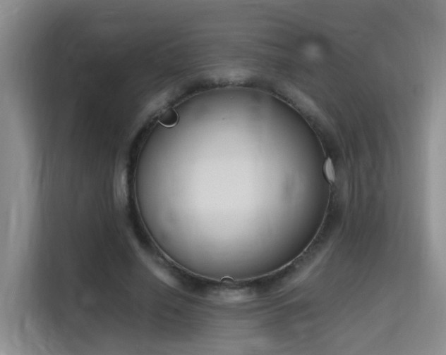 X0000115700638200911191230