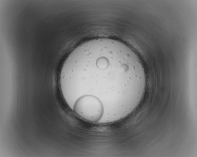 X0000115700639200911191230