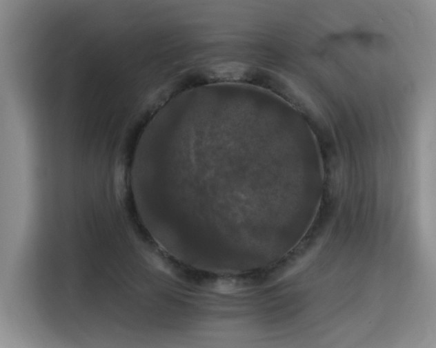 X0000115700641200911191230