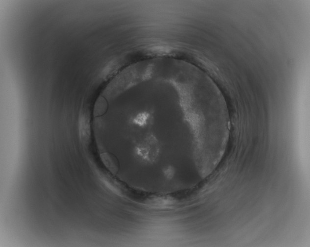 X0000115700642200911191230