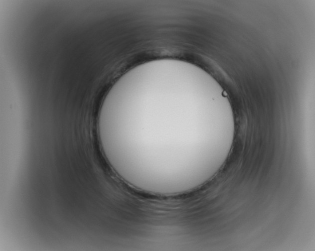 X0000115700643200911191230