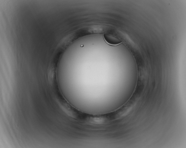 X0000115700645200911191230