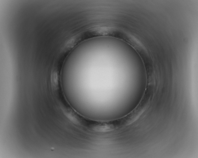 X0000115700646200911191230