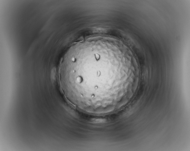 X0000115700649200911191230