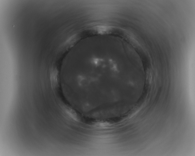 X0000115700650200911191230