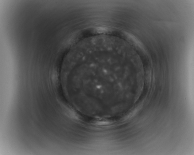 X0000115700653200911191230