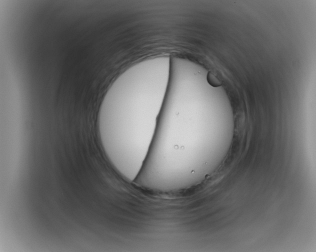 X0000115700655200911191230