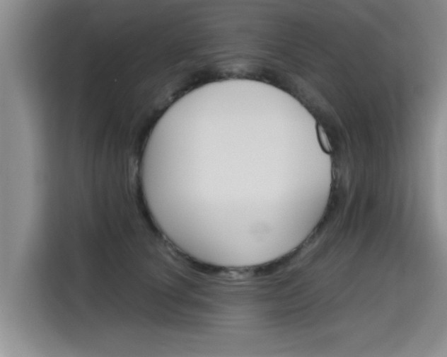 X0000115700660200911191230