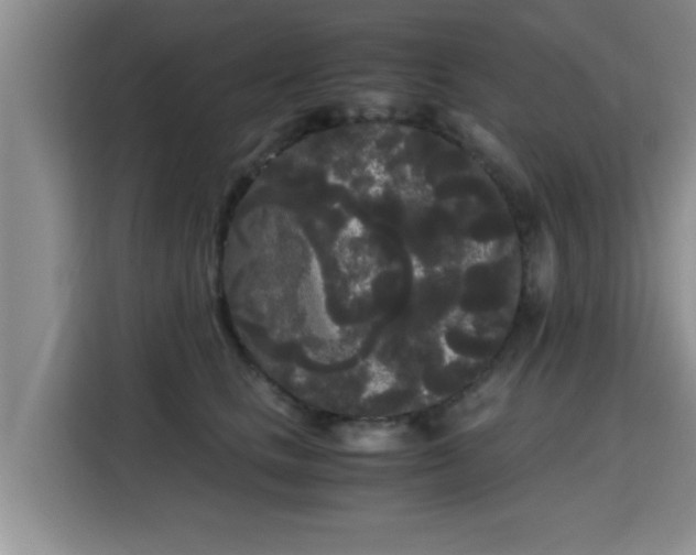 X0000115700661200911191230